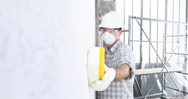 Why You Should Choose Our Mold Remediation Services in Brady, TX